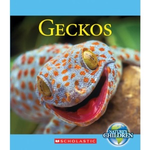 Geckos (Nature's Children)