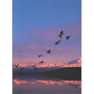 Biology: Concepts and Applications