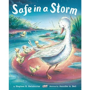 Safe in a Storm