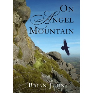 On Angel Mountain (Angel Mountain Saga 1)