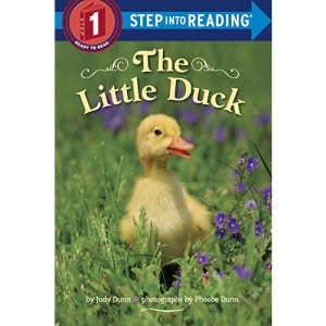 The Little Duck (Step Into Reading: A Step 1 Book)