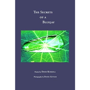 The Secrets of a Bluejay