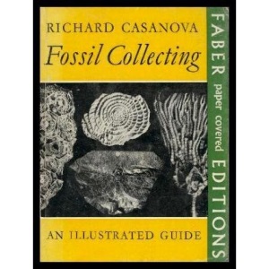 Fossil Collecting