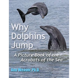 Why Dolphins Jump: A Picture Book of the Acrobats of the Sea