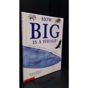 How Big is a Whale?