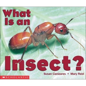 What is an Insect? (Science emergent readers)