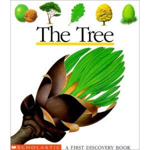 The Tree (First Discovery Book)