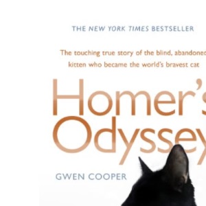 Homer's Odyssey