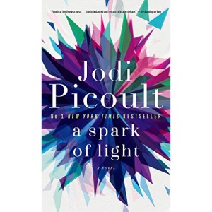 A Spark of Light: A Novel