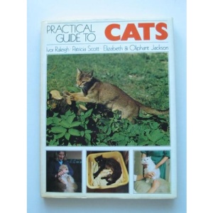 Practical Guide to Cats