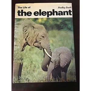 Life of the Elephant