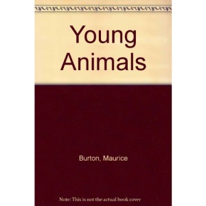 Young Animals