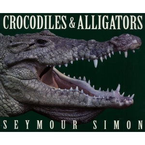 Crocodiles & Alligators