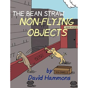 The Bean Straw: Non-Flying Objects