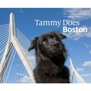 Tammy Does Boston
