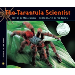 The Tarantula Scientist (Scientists in the Field (Paperback))