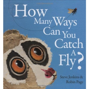 How Many Ways Can You Catch a Fly?