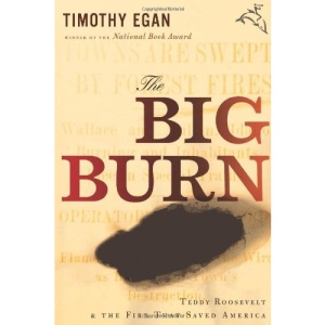 The Big Burn: Teddy Roosevelt and the Fire That Saved America