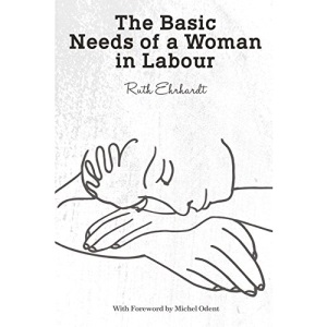 The Basic Needs of a Woman in Labour