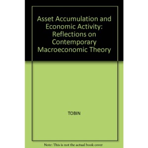 Asset Accumulation and Economic Activity: Reflections on Contemporary Macroeconomic Theory
