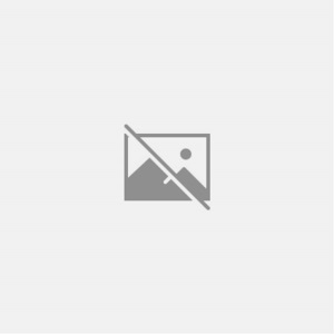 Readers History of English Literature