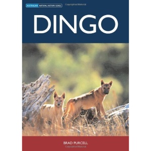 Dingo (Australian Natural History)