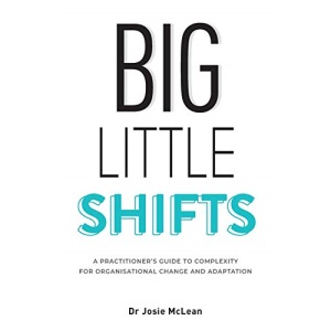 Big Little Shifts: A Practitioner's Guide to Complexity for Organisational Change and Adaptation