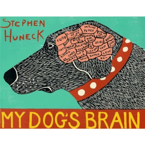 My Dog's Brain