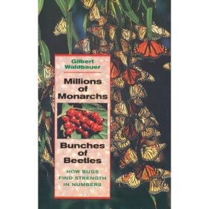 Millions of Monarchs, Bunches of Beetles: How Bugs Find Strength in Numbers