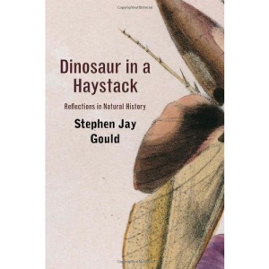 Dinosaur in a Haystack