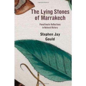 The Lying Stones of Marrakech: Penultimate Reflections in Natural History