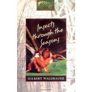 Insects Through the Seasons