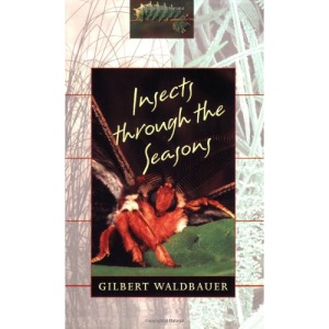 Insects Through the Seasons