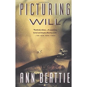 Picturing Will (Vintage Contemporaries)