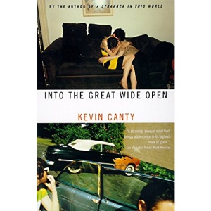 Into the Great Wide Open (Vintage Contemporaries)