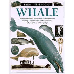 Whale (Eyewitness Books)