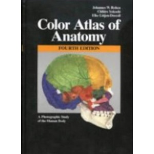 Color Atlas of Anatomy