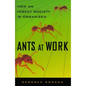 Ants at Work: How an Insect Society is Organized