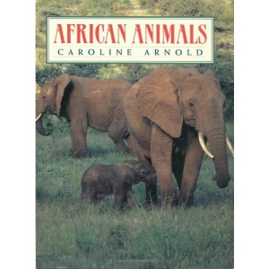 African Animals