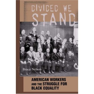 Divided We Stand: American Workers and the Struggle for Black Equality (Politics and Society in Twentieth-Century America)