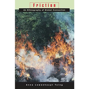 Friction – An Ethnography of Global Connection