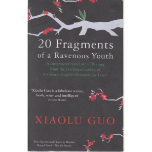 20 Fragments of a Ravenous Youth