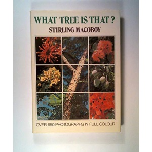 What Tree is That?
