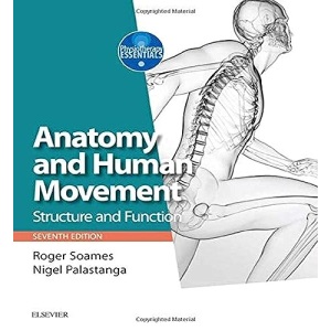 Anatomy and Human Movement: Structure and function (Physiotherapy Essentials)