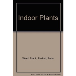 Indoor Plants