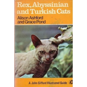 Rex, Abyssinian and Turkish Cats