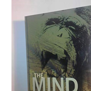 The Mind Game