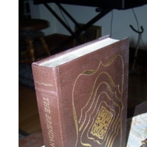 The Brendan Voyage (Charnwood Library)