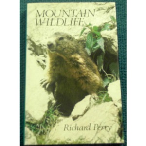 Mountain Wild Life