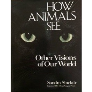 How Animals See